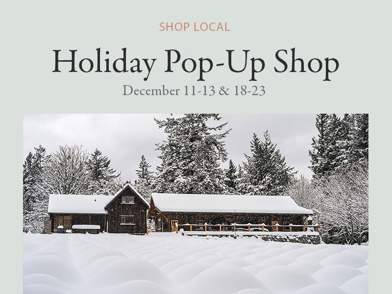 holiday popup shop