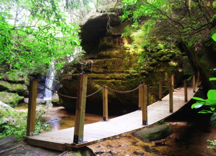 Alabama''s Dismals Canyon Is A Beautifully Brilliant Green