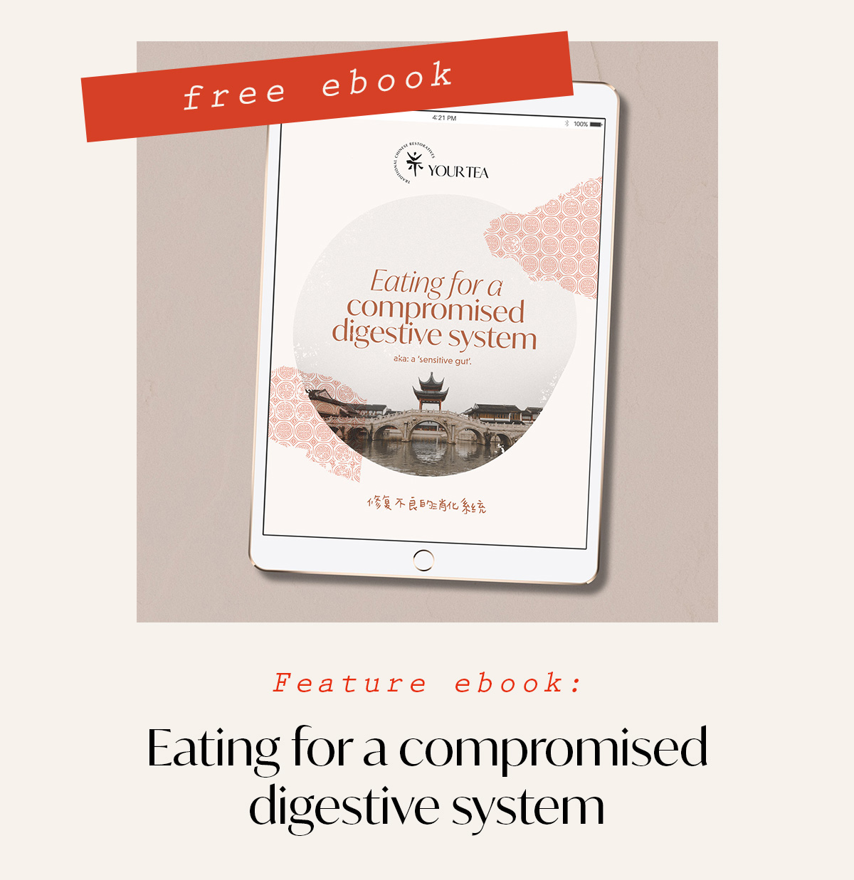'Eating for a compromised digestive system'.