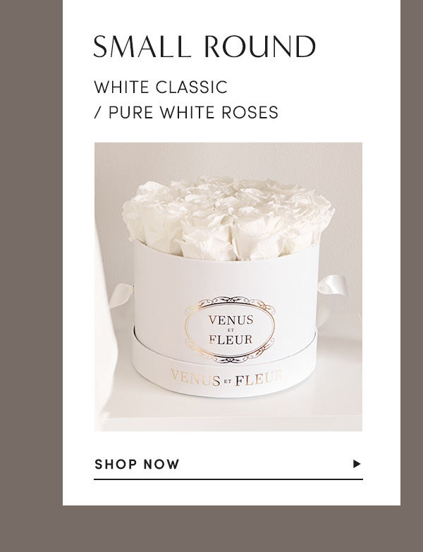 SMALL ROUND | WHITE CLASSIC/PURE WHITE ROSES | SHOP NOW