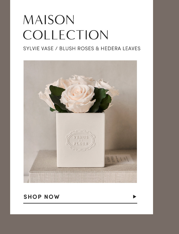 MAISON COLLECTION | SYLVIE VASE/ BLUSH ROSES AND HEDERA LEAVES | SHOP NOW