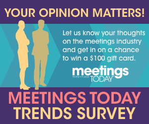 Meetings Survey