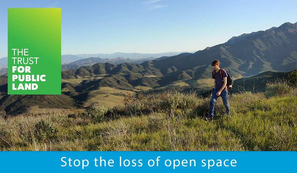 Stop the loss of open space