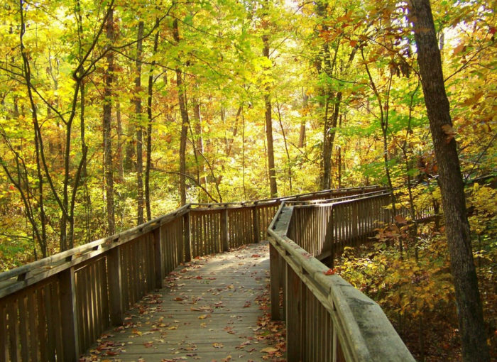 See Some Of The Best And Most Colorful Foliage In Alabama While Exploring These 7 Trails This Fall