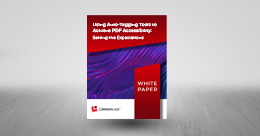 Using Auto-Tagging Tools to Achieve PDF Accessibility White Paper Cover