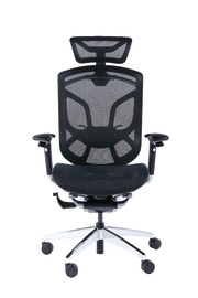 GT Chairs: Dvary Ergonomic Elite - Office Chair