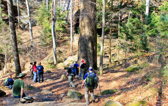 Awaken The Explorer In You With A Hike In Alabama''s William B. Bankhead National Forest