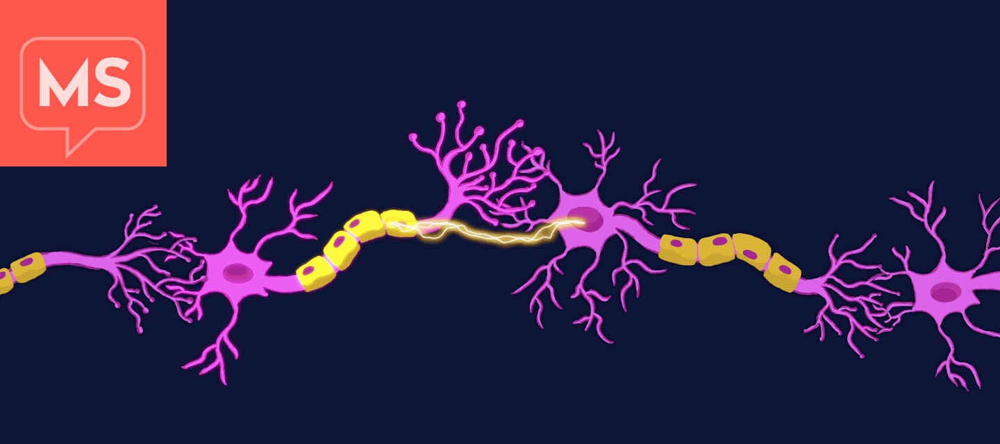 an electrical signal travels through a chain of nerves