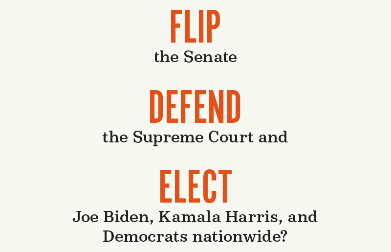Flip the Senate, defend the Supreme Court, and elect Joe Biden, Kamala Harris, and Democrats nationwide?