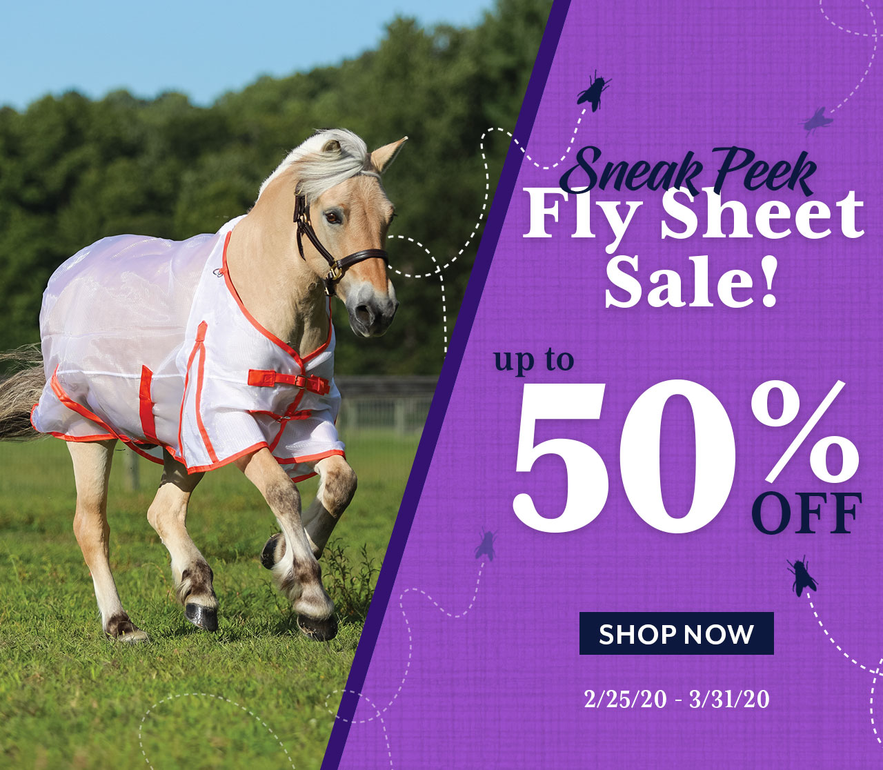 Pre-Season Fly Sale: Up to 50% off! Offer valid 2/25/20 - 3/31/20.