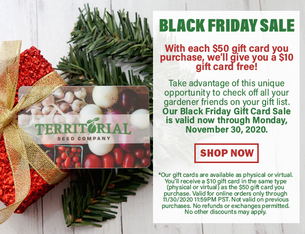 BLACK FRIDAY SALE Give a gift, get a gift! Put yourself on Territorial Seed's gift list when you buy a gift card! With each $50 gift card you purchase, we'll give you a $10 gift card free! Take advantage of this unique opportunity to check off all your gardener friends on your gift list. Our Black Friday Gift Card Sale is valid now through Monday,  November 30, 2020.