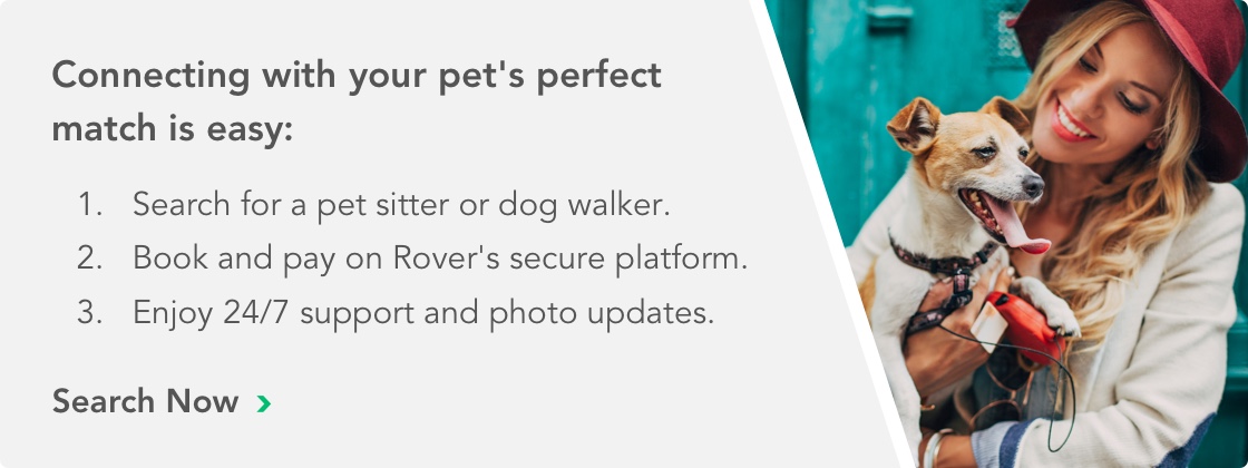 Connecting with your pet's perfect match is easy | Search Now