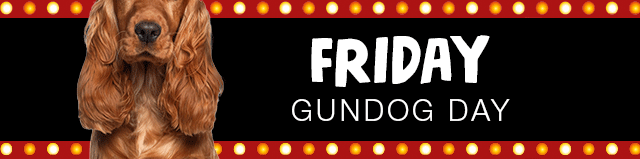 Friday Gundog Day