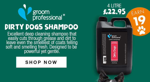 Shop Groom Professional Dirty Dogs Shampoo