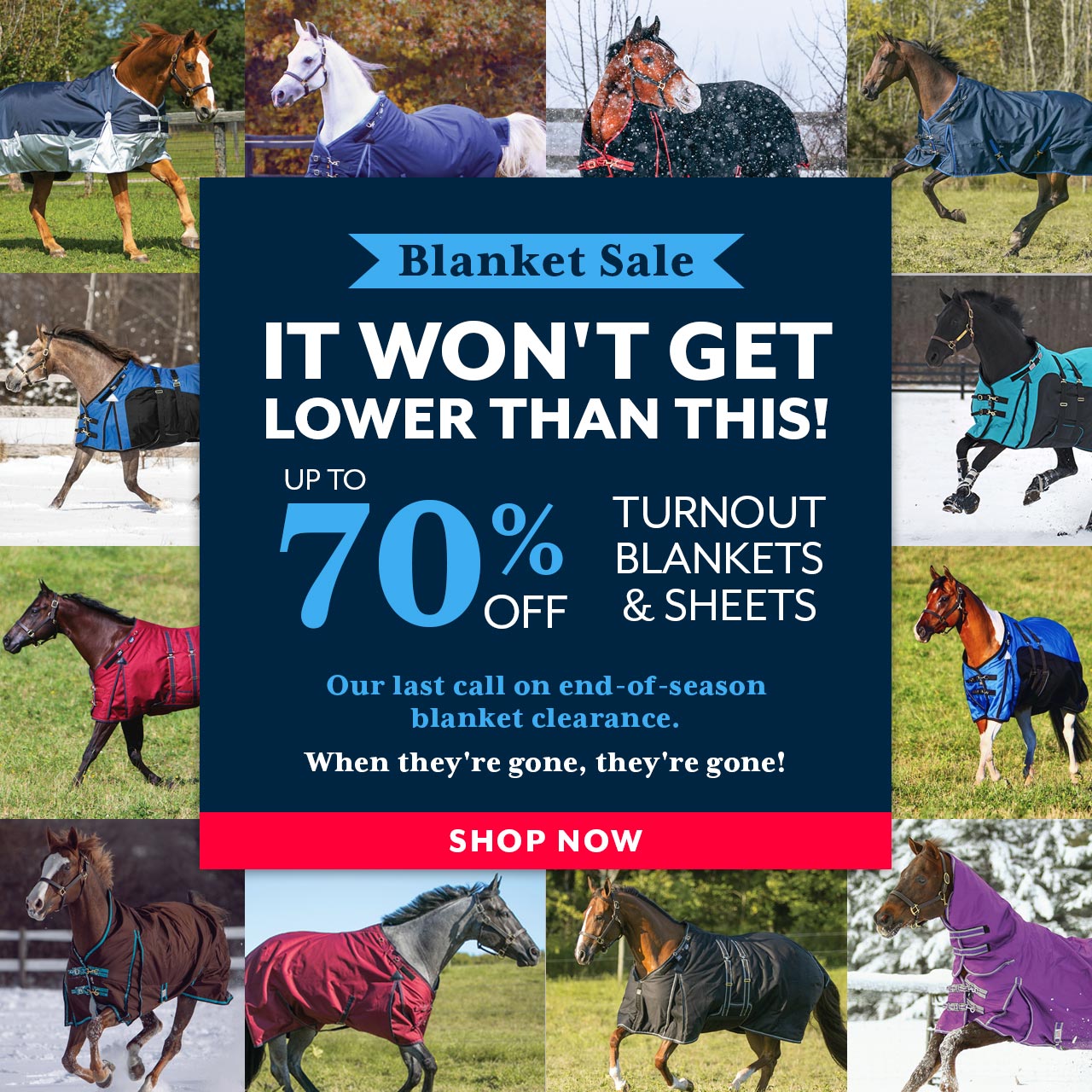 It won''t get lower than this! Blankets and sheets up to 70% off during our end of season sale.