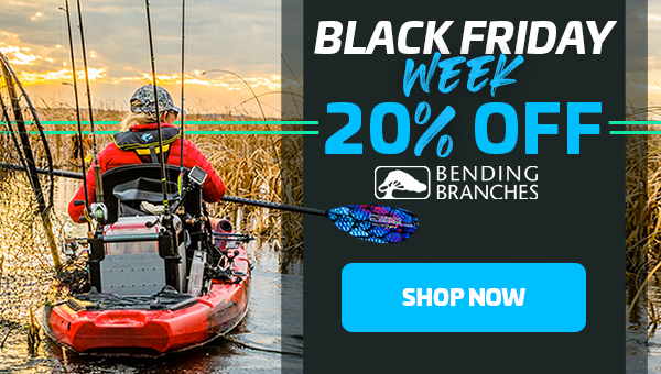 20% OFF BENDING BRANCHES