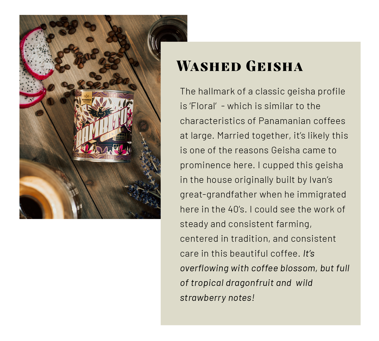 Washed Geisha - The hallmark of a classic geisha profile is 'Floral'  - which is similar to the characteristics of Panamanian coffees at large. Married together, it's likely this is one of the reasons Geisha came to prominence here. I cupped this geisha in the house originally built by Ivan's great-grandfather when he immigrated here in the 40's. I could see the work of steady and consistent farming, centered in tradition, and consistent care in this beautiful coffee. It's  overflowing with coffee blossom, but full  of tropical dragonfruit and  wild strawberry notes!