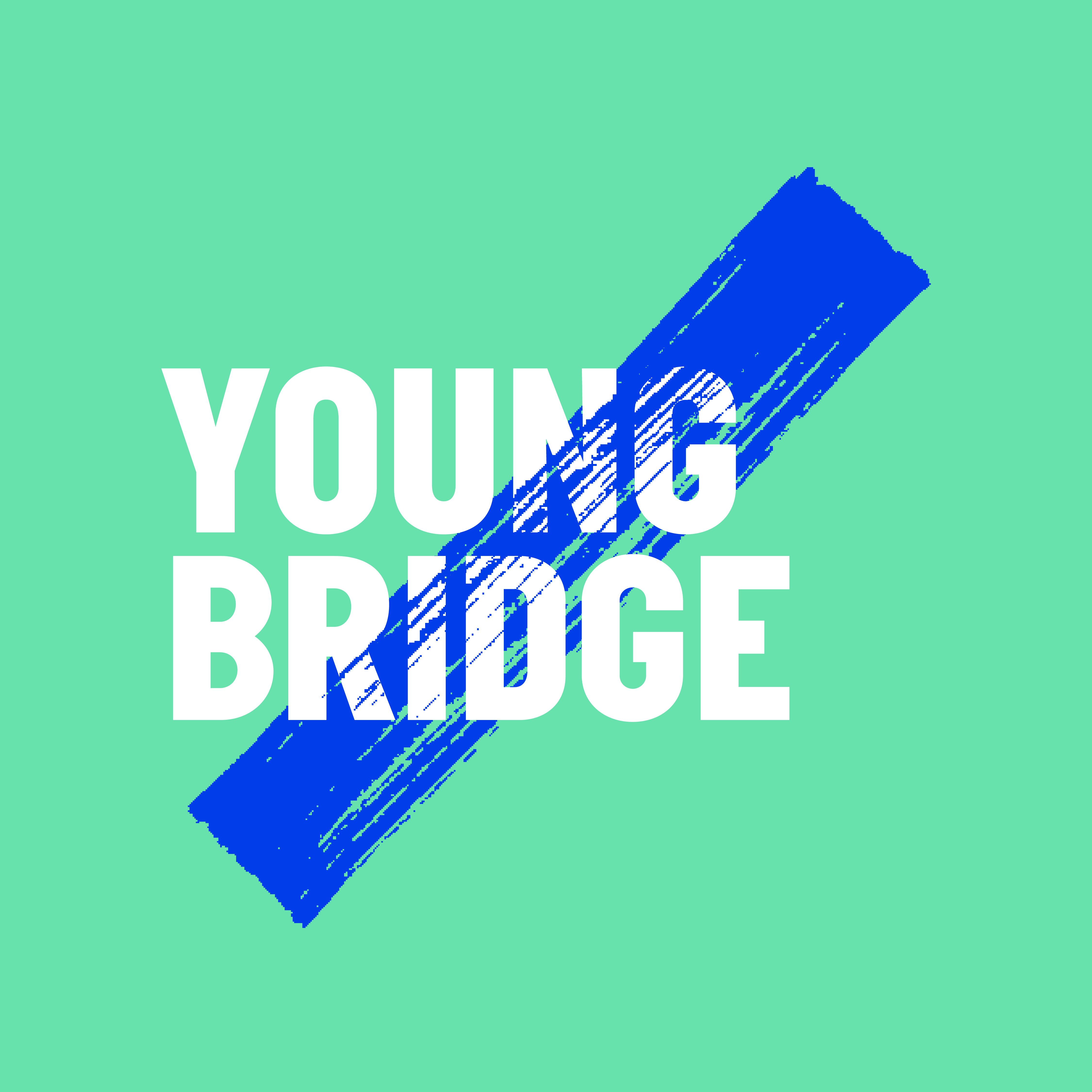 Young Bridge membership