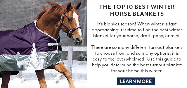 The Top 10 Best Winter Horse Blankets