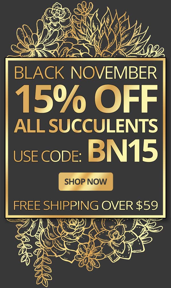 Black November 15% Off Code BN15