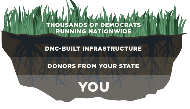 Thousands of Democrats running nationwide > DNC-Built infrastructure > donors from your state > you.
