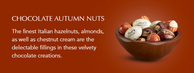 Chocolate Autumn Nuts