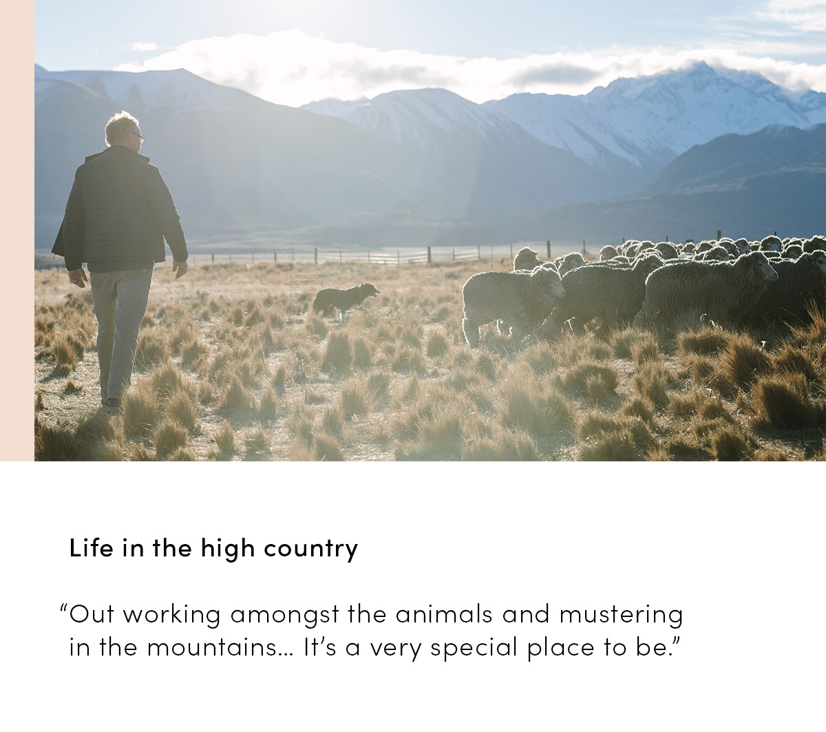 Life in High Country