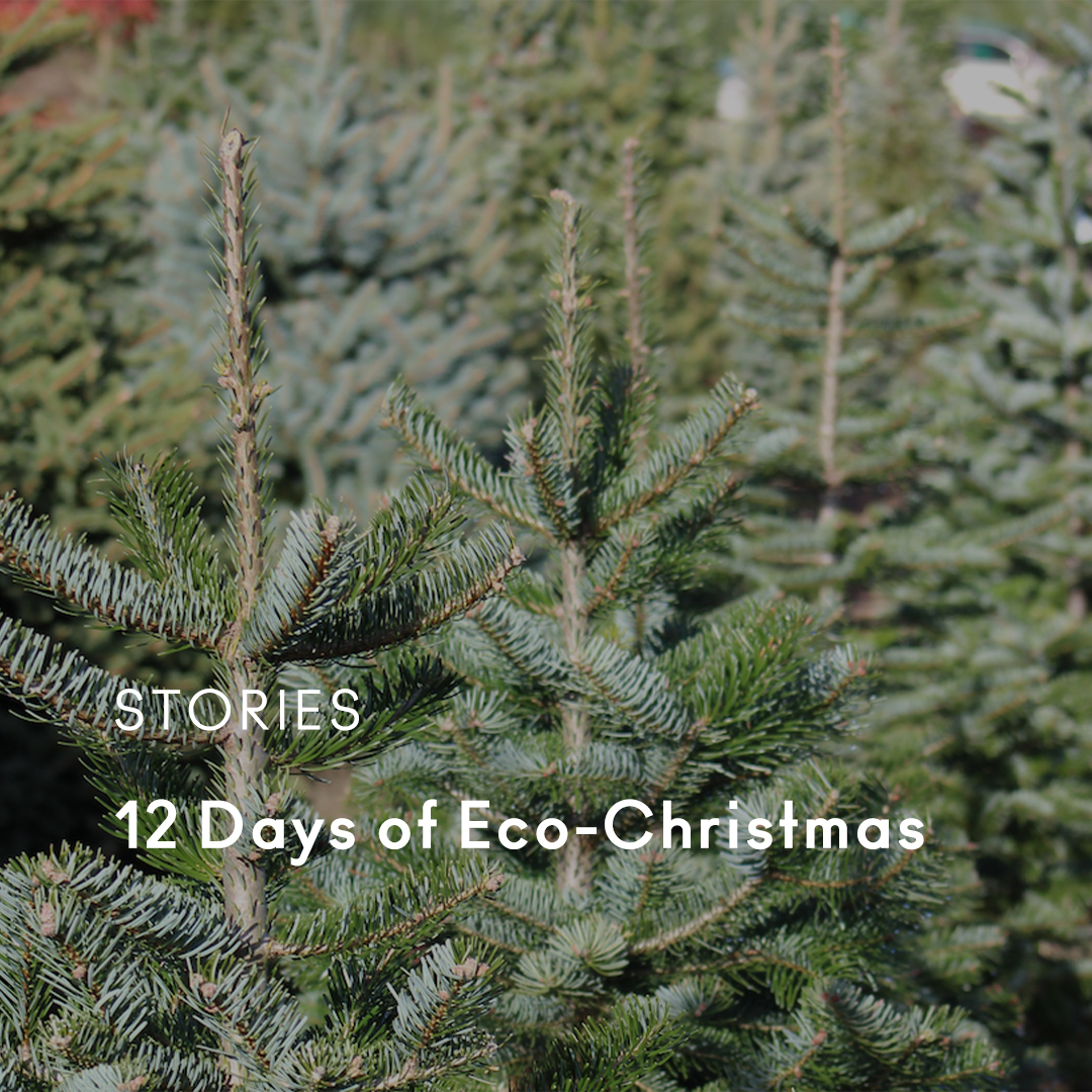12 days of eco-christmas