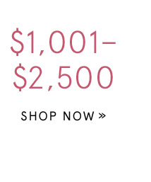 Shop Gifts $1,001-$2,500