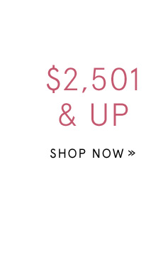 Shop Gifts $2,501 & Up