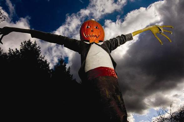 A scarecrow with a Jack O''Lantern head