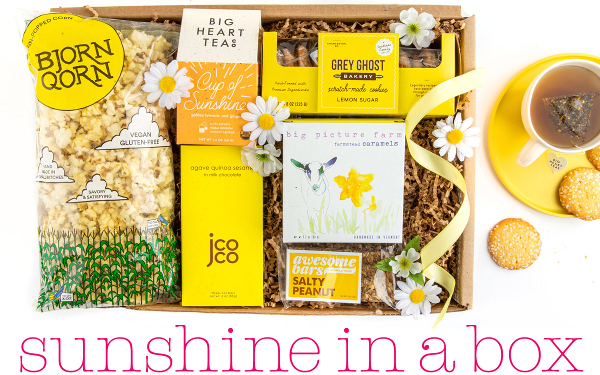 Sunshine in.a Box