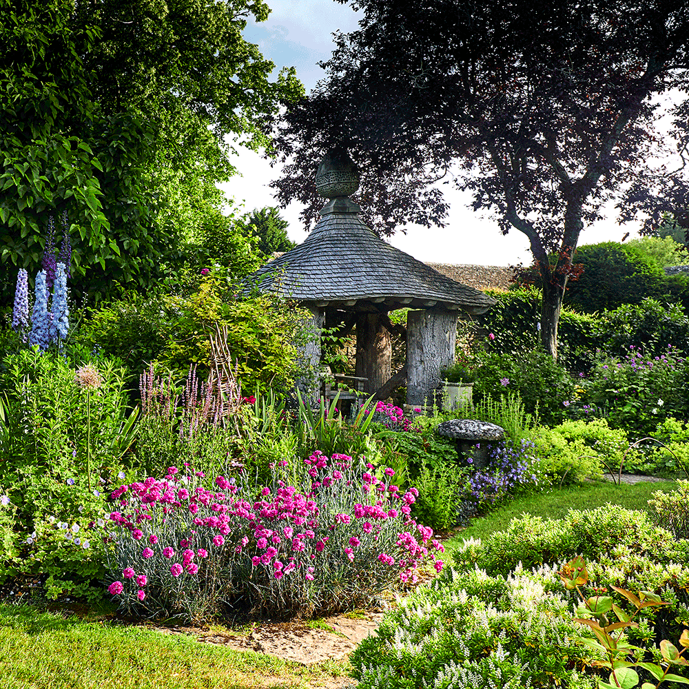 Cottage Garden - Summer