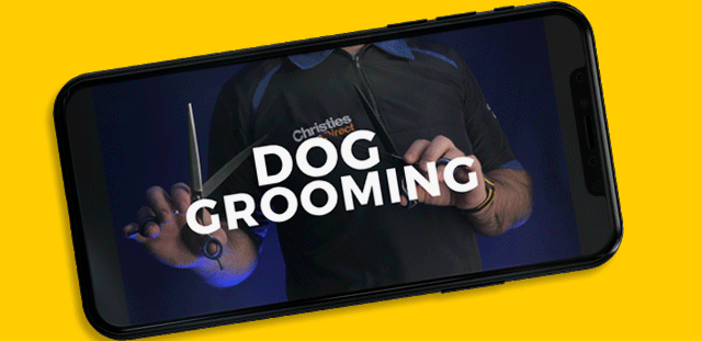 Dog Grooming with Michael Shiels