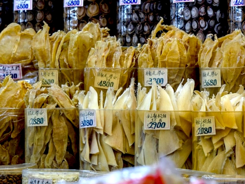 Study: Shark Fin Sold In Hong Kong Contains Dangerous Levels Of Mercury