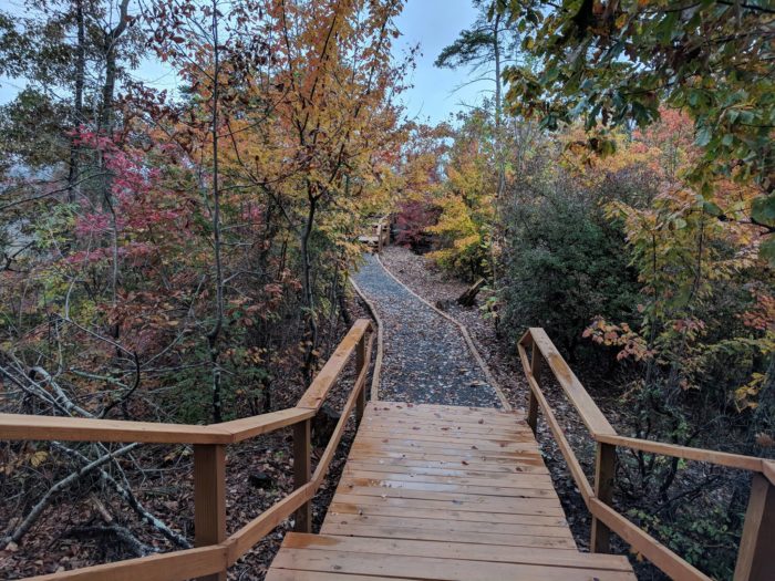 The Spectacular Trail In Alabama That Leads To The Most Magnificent Autumn View