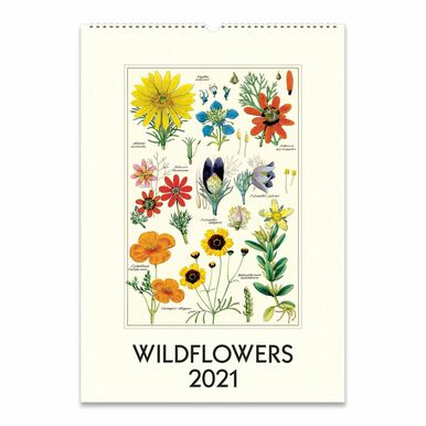 2021 Wall Calendar Wildflowers