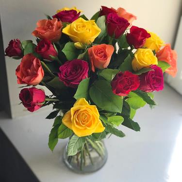 Rainbow Roses Offer