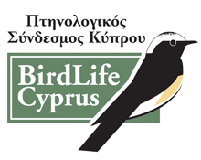 Birdlife Cyprus