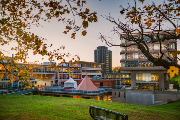 Discover your perfect PG course at Essex