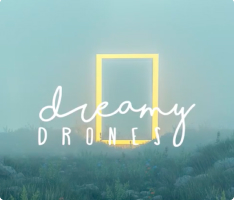 Dreamy Drones