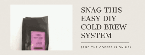 snag this easy diy cold brew system