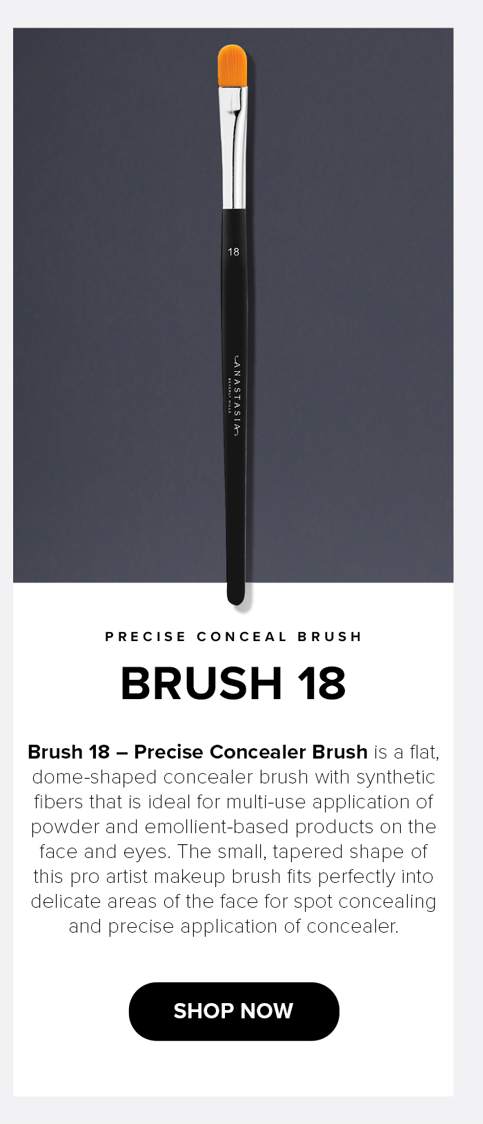Brush 18 - Shop Now