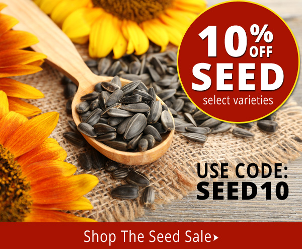 10% Off Select Seed Favorites! Use Code SEED10. Offer Ends 9/28/20.