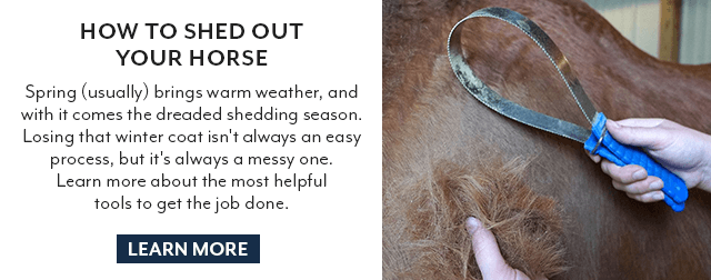 How to shed out your horse with ease.