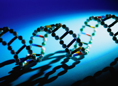 Image: 'Junk DNA' affects inherited cancer risk