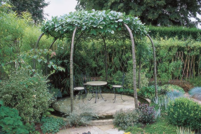 Arbor made of tree branches