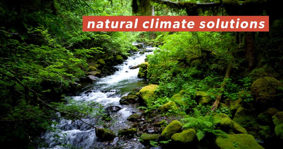 Take our Natural Climate Solutions Quiz!