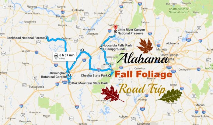 Take A Beautiful Fall Foliage Road Trip To See Alabama Autumn Colors