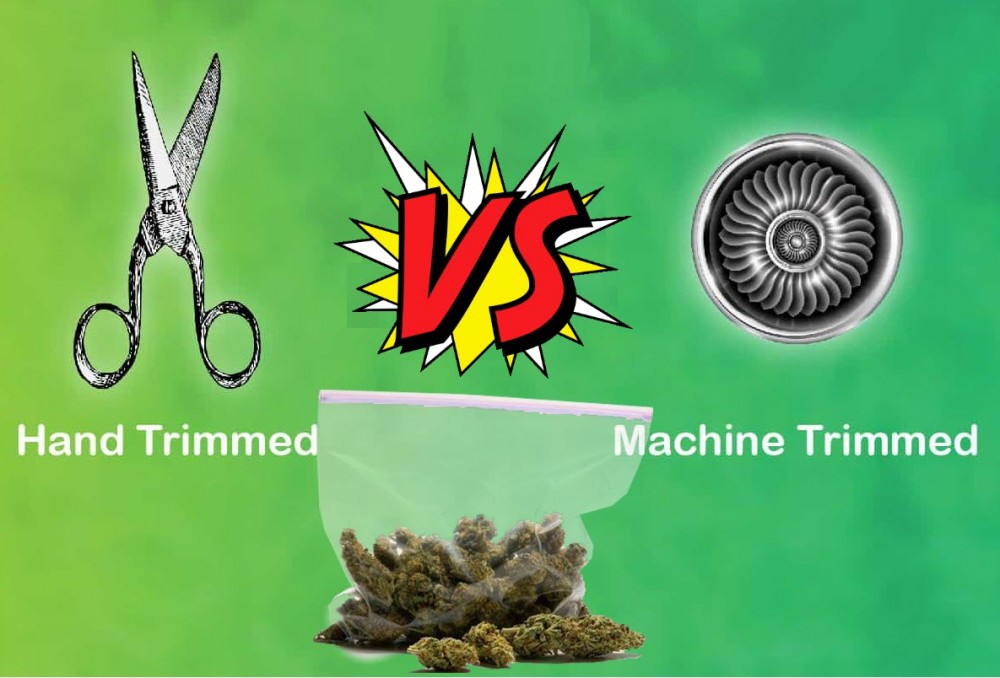 HAND TRIMMING OR MACHINE TRIMMING